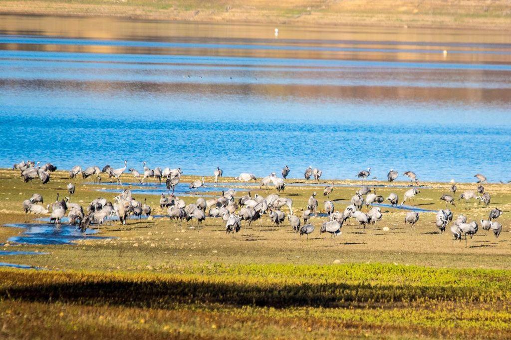 L'Oasis Des Pyrenees Villa Campuzan Dış mekan fotoğraf