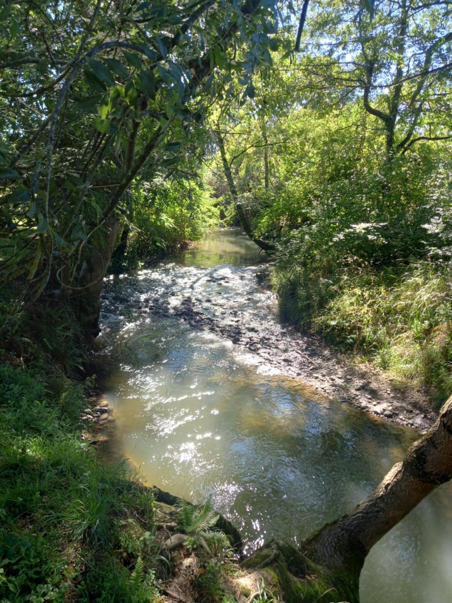 L'Oasis Des Pyrenees Villa Campuzan Dış mekan fotoğraf